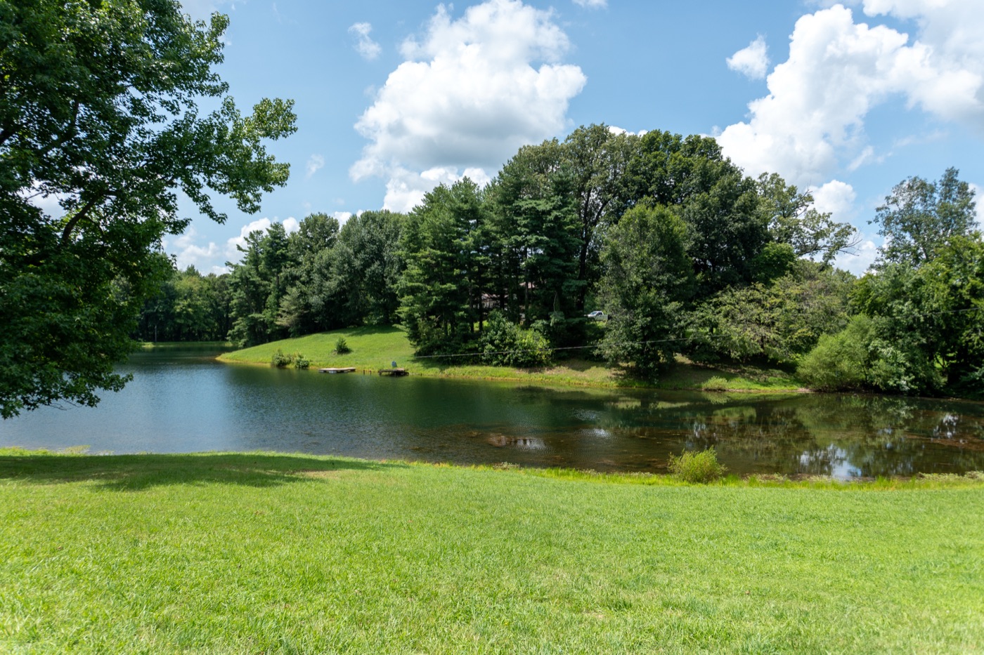 A quiet lake view